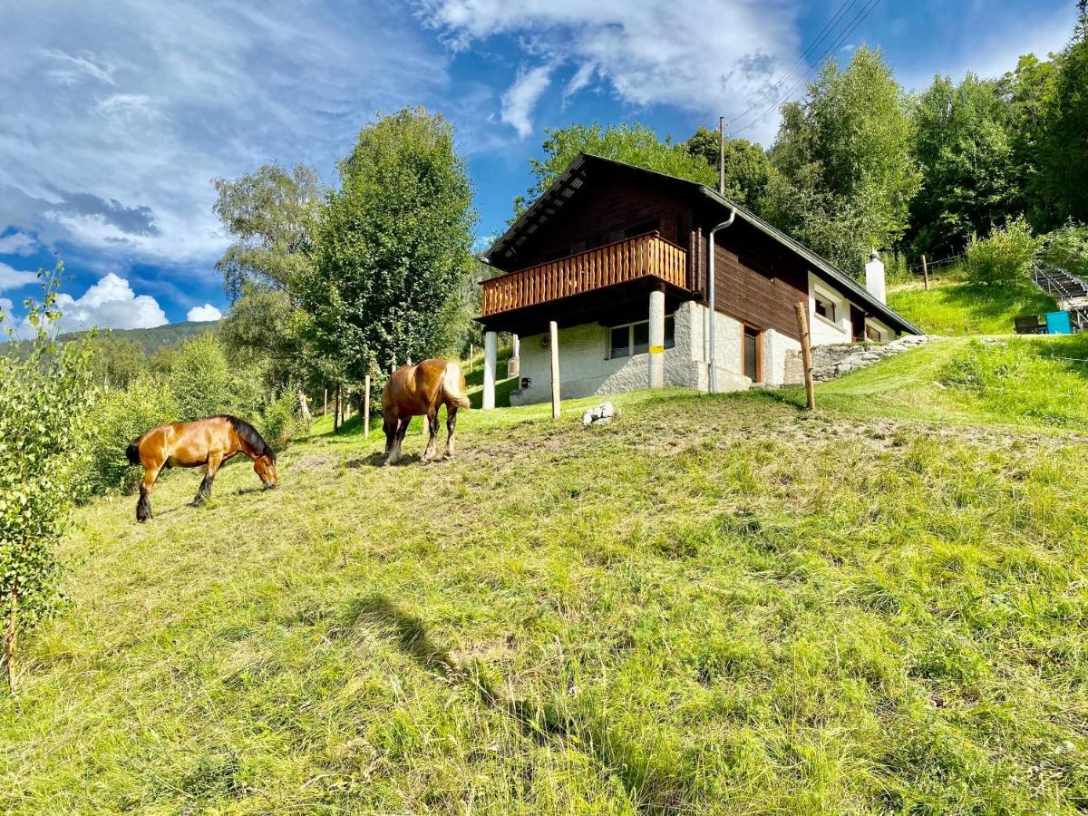 Eco Lodge With Jacuzzi And View In The Swiss Alps Grône エクステリア 写真